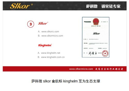 互聯(lián)網(wǎng)營銷的底層邏輯如何驅(qū)動產(chǎn)品開發(fā)布局——以薩科微金航標(biāo)宋仕強為例