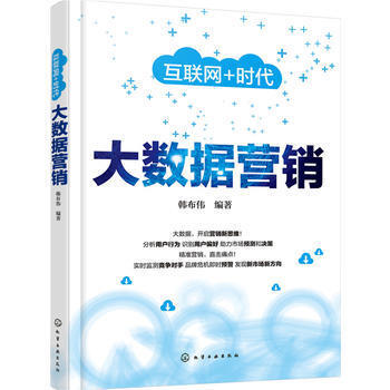 大數(shù)據(jù)營銷 數(shù)字時代的精準(zhǔn)銷售與戰(zhàn)略布局